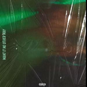Want It No Other Way (feat. LoveKaizen) (Explicit)