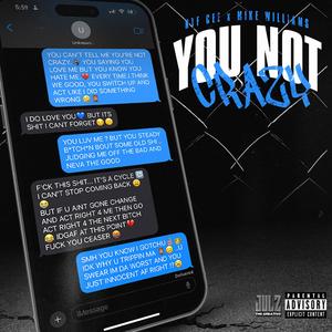 You Not Crazy (feat. Mike Williams) (Explicit)