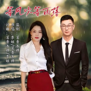 等风吹等雨落 (对唱版)封面