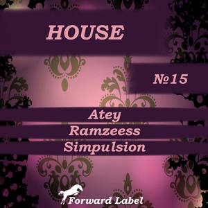 House N.15