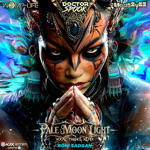 Pale Moon Light (Roni Sadgan Instrumental Trance Remix)