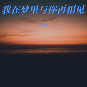 我在梦里与你再相见 (痛心版)