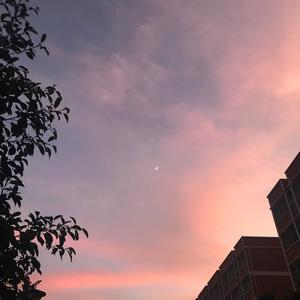 巧了(prod by e.pine)