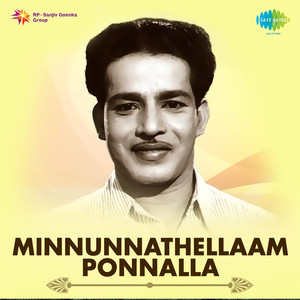 Minnunnathellaam Ponnalla