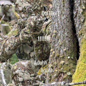 AduhhDoIT (feat. Lil Santanna) (Explicit)