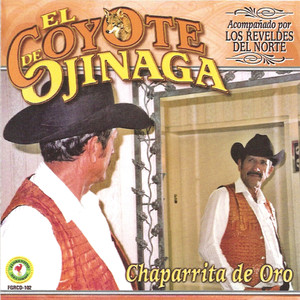 Chaparrita De Oro