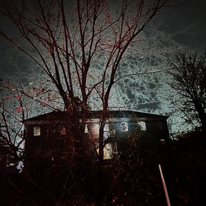 Wasted (feat. Zoku) (Explicit)