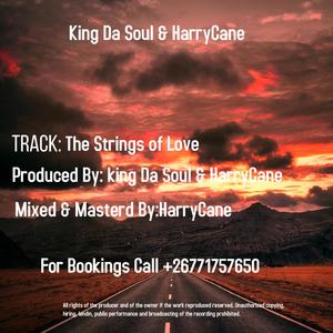 The Strings of Love (feat. HarryCane & Benzito) (Vocal Mix)