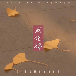 我记得 (抒情版)