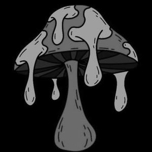 Off Da Shrooms (feat. jerbased) (Explicit)