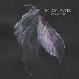 Sasnal Park (A Strange Wedding Remix)