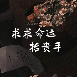 求求命运抬贵手 (DJ阿尼版伴奏)