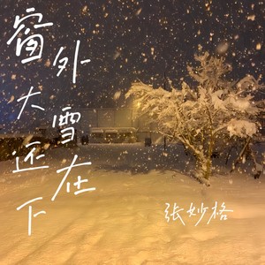 窗外大雪还在下