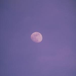 Situation (Explicit)