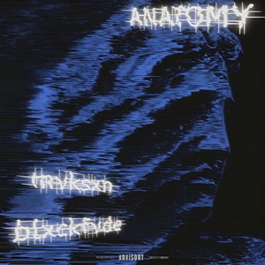 ANATOMY (ULTRA SLOWED)