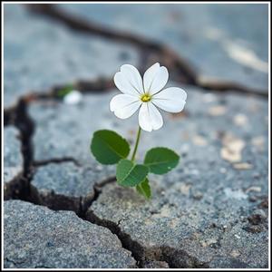 Brighter Dayz (Explicit)