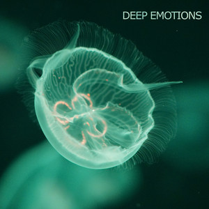 Deep Emotions