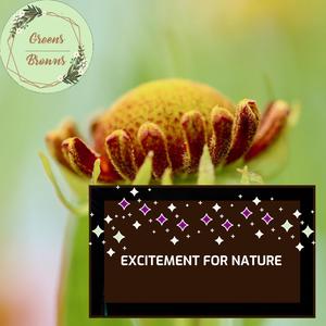 Excitement for Nature