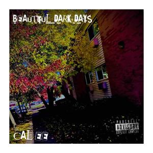 Shaded Faces (feat. Chris Carr) (Explicit)