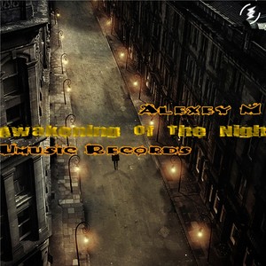 Awakening Of The Night