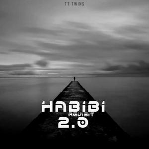 Habibi 2.0 Revisit