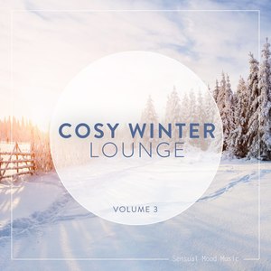 Cosy Winter Lounge, Vol. 3