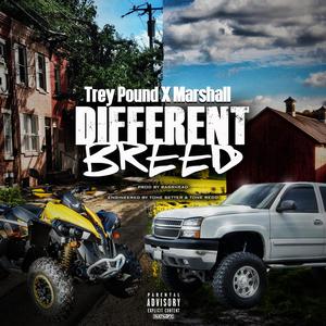 Tension(feat. Trey Pound) (Explicit)