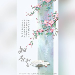 知否知否（2024）