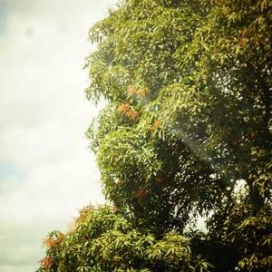 caixa de pandora (outro) (Explicit)