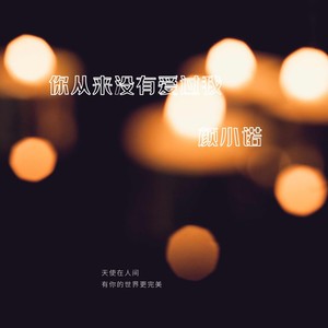 你从来没有爱过我