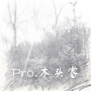 Pro.木头睿（2019-2020.2)