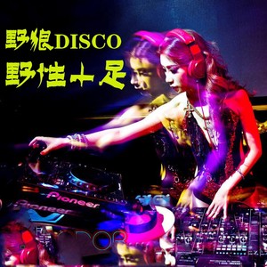 野狼disco-小龙虾