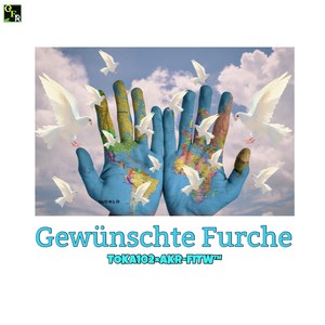 Gewünschte Furche