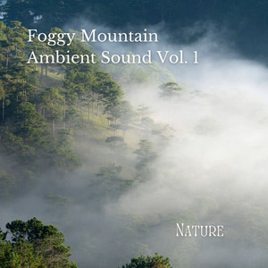 Nature: Foggy Mountain Ambient Sound Vol. 1