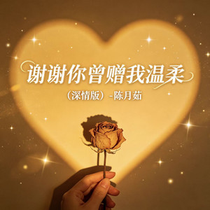 谢谢你曾赠我温柔 (深情版)