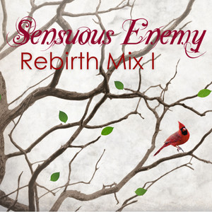 Rebirth Mix 1