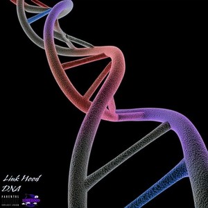 DNA (Explicit)