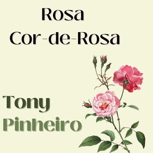 Rosa Cor-De-Rosa