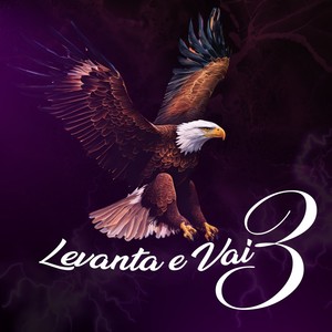 Levanta e Vai 3