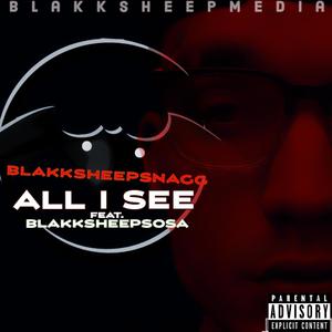 All I See (feat. BlakkSheepSosa) [Explicit]