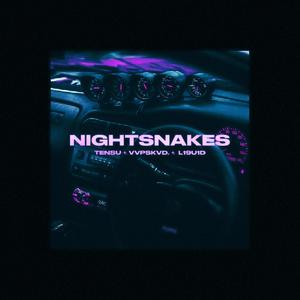 NIGHTSNAKES