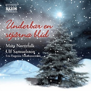 The Christmas Song (arr. M. Norrefalk)