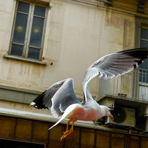 Nel bene e nel male (feat. Stabber M.C.) (Explicit)