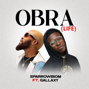 Obra (Life) (feat. Gallaxy)