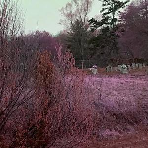 Close My Eyes(feat. Shino Zen) (Explicit)