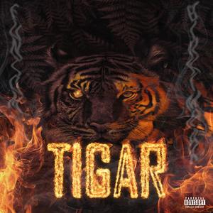 Tigar (feat. BirkiMrak) (Explicit)