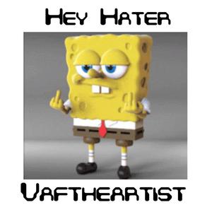 Hey Hater