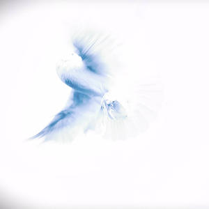 Cry Out (feat. Meice)