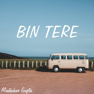 Bin Tere