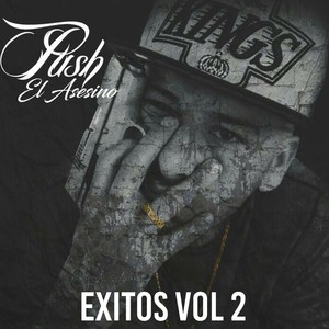 Exitos, Vol. 2